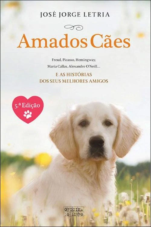 Amados Cães