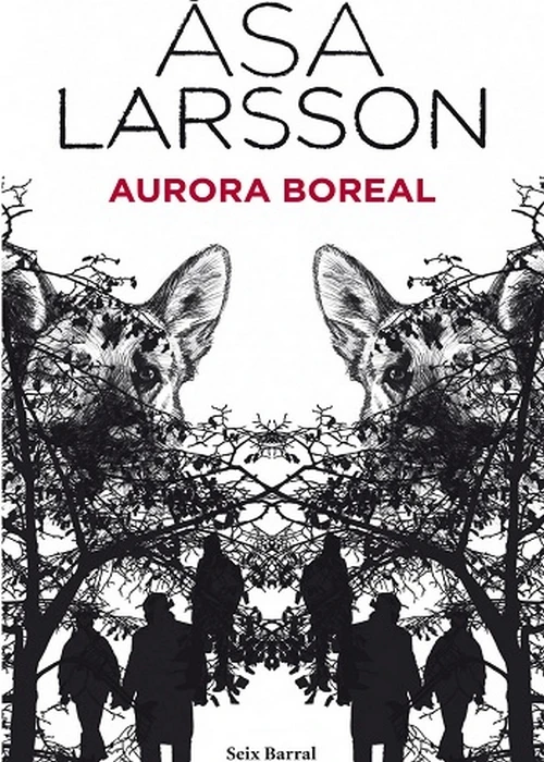 Aurora Boreal