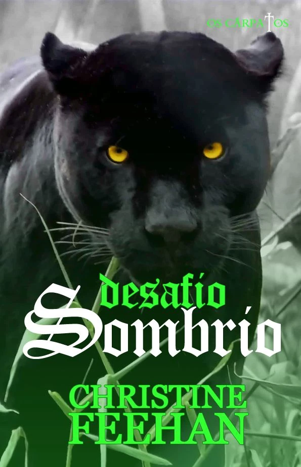 Desafio Sombrio