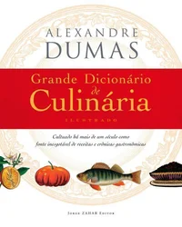 Baixar Grande Dicionário de Culinária Pdf ePub Ler Online