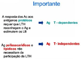 Imunologia Fundamental