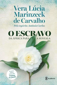 O escravo: Da África para a senzala