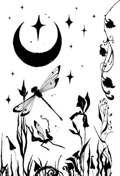 O Mistério da Estrela - Stardust