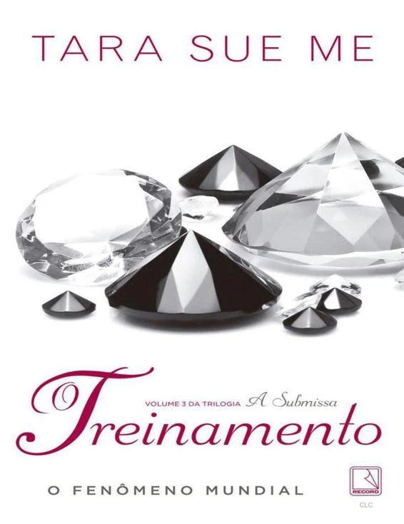 O Treinamento