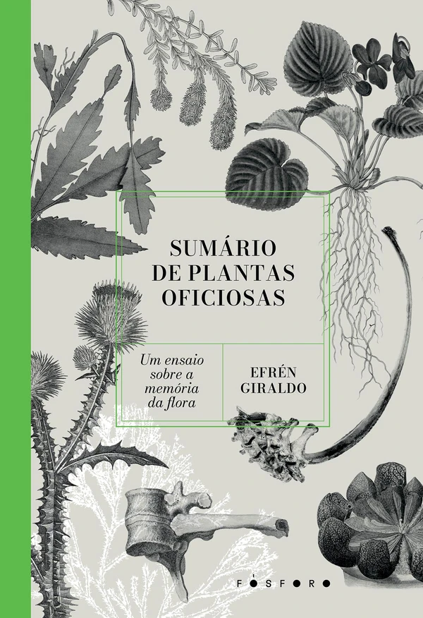 Sumário de plantas oficiosas Um ensaio sobre a memória da flora